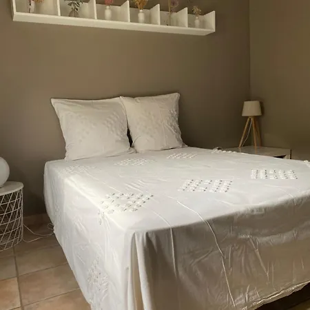 Villa Avec Piscine Et Jardin Prives, Cosy Avec Clim Nîmes
